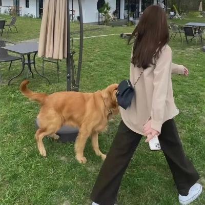 康熙微服私访记5